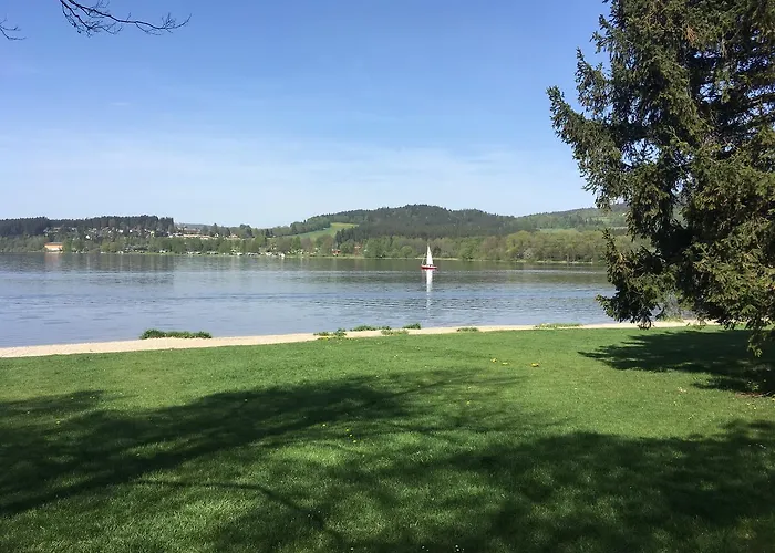 Διαμέρισμα Riviera Lipno 415